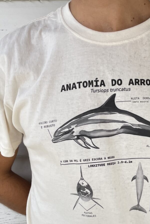 ANATOMÍA DO ARROAZ - Imaxe 2