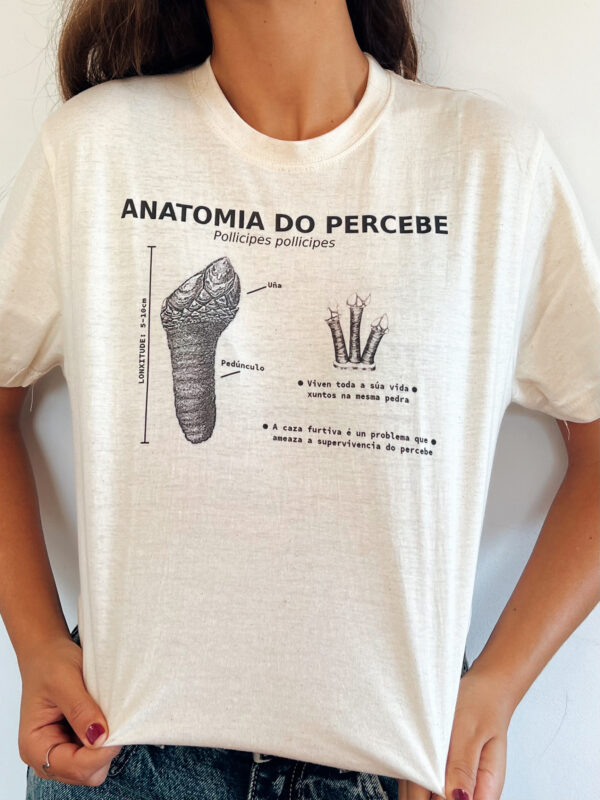 ANATOMÍA DO PERCEBE