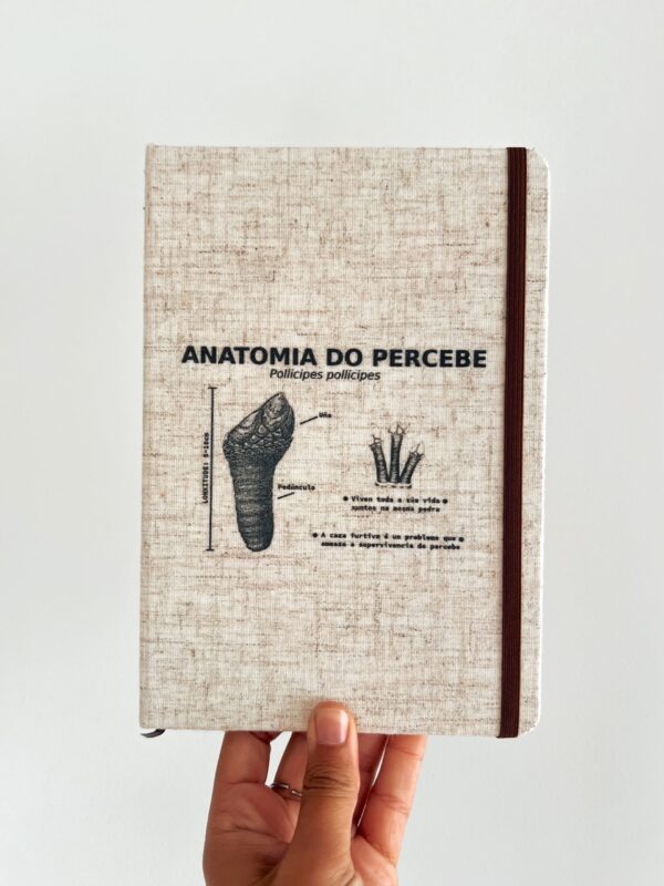 Sabías que percebe galego, debido á riqueza nutritiva das augas de Galicia, é máis groso e escuro que o de Marrocos? Esta libreta é para os amantes do noso mar e da ciencia.