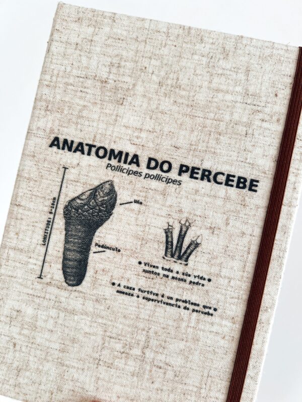 ANATOMÍA DO PERCEBE - Imaxe 2